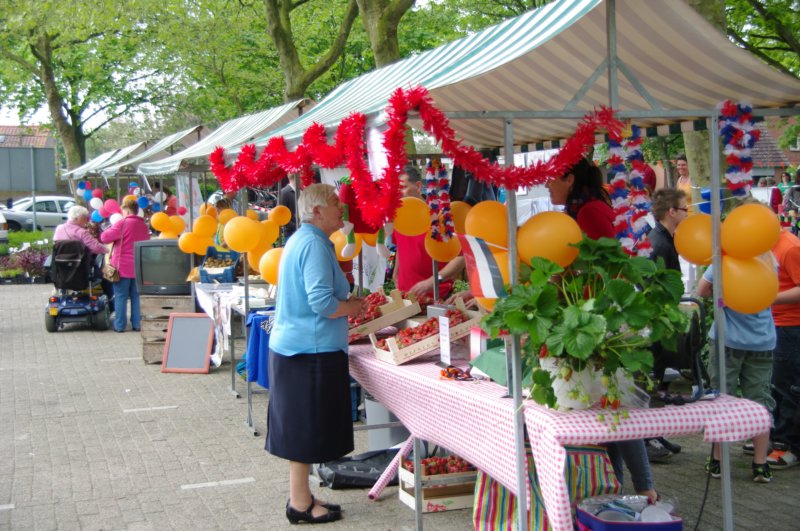 imgp0165.jpg