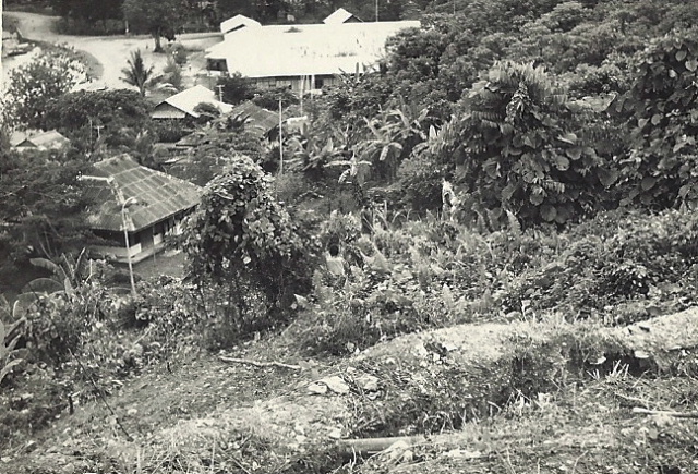 missiepost indonesia