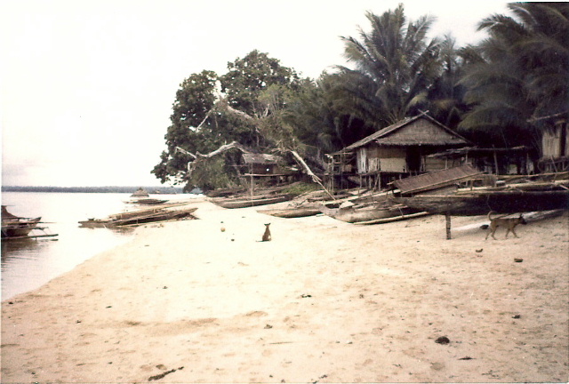 91 Huisje aan het strand van het eiland Jefman