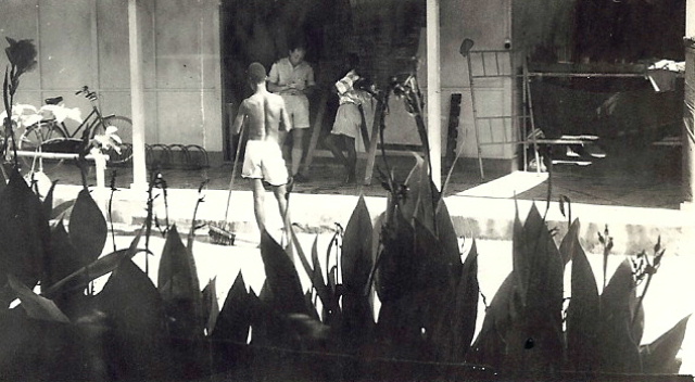 nederlanders in oorlogstijd