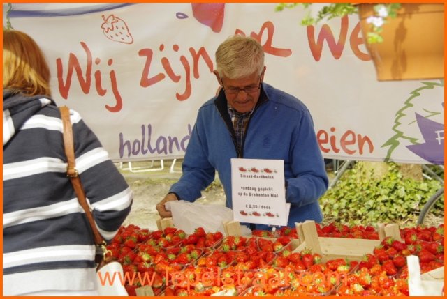 koninginnedag201302.jpg
